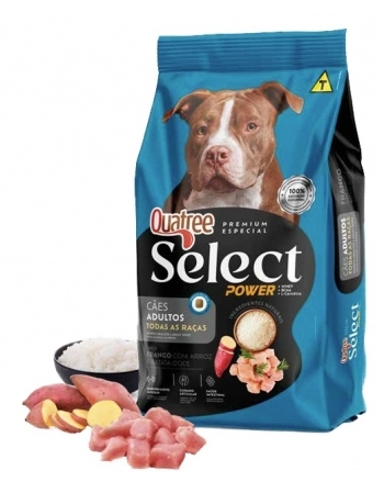 QUATREE SELECT POWER ADULTO TODAS AS RACAS SC 15KG